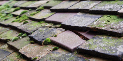 Stratton roof repair costs